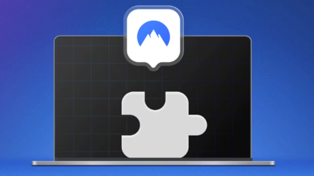 NordVPN browser extension graphic