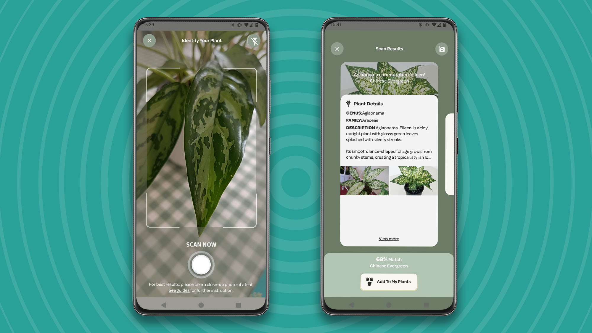 Screengrabs from Willow app showing plant identification