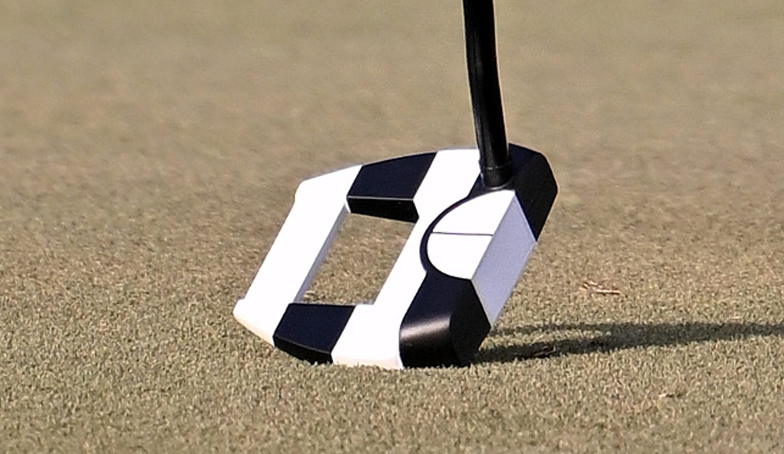 A close-up of Nacho Elvira's putter