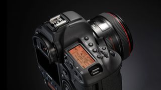 Canon EOS-1D X Mark II review