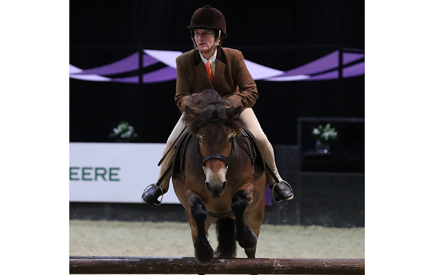 HOYS PR images 2017