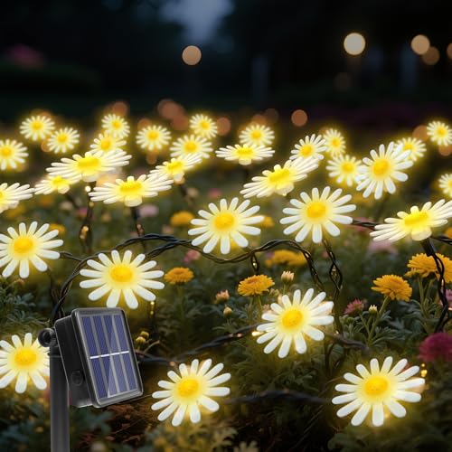 Corst Solar Flower String Lights Outdoor Garland Fairy Lights,40led Mums Daisy String Lights Solar Powered Garden Fence Light Waterproof 8mode for Tree,spring,summer,yard