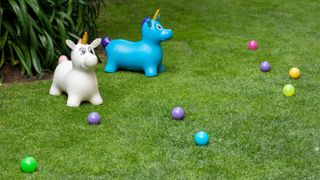 Toys and balls on lawn