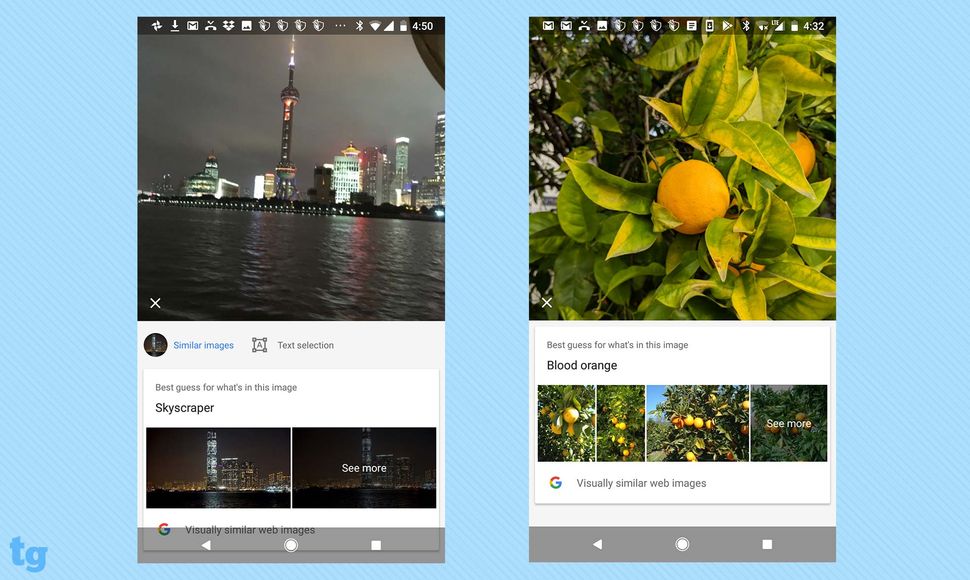 Google Lens Guide What You Can Do with This Powerful AI Feature Tom