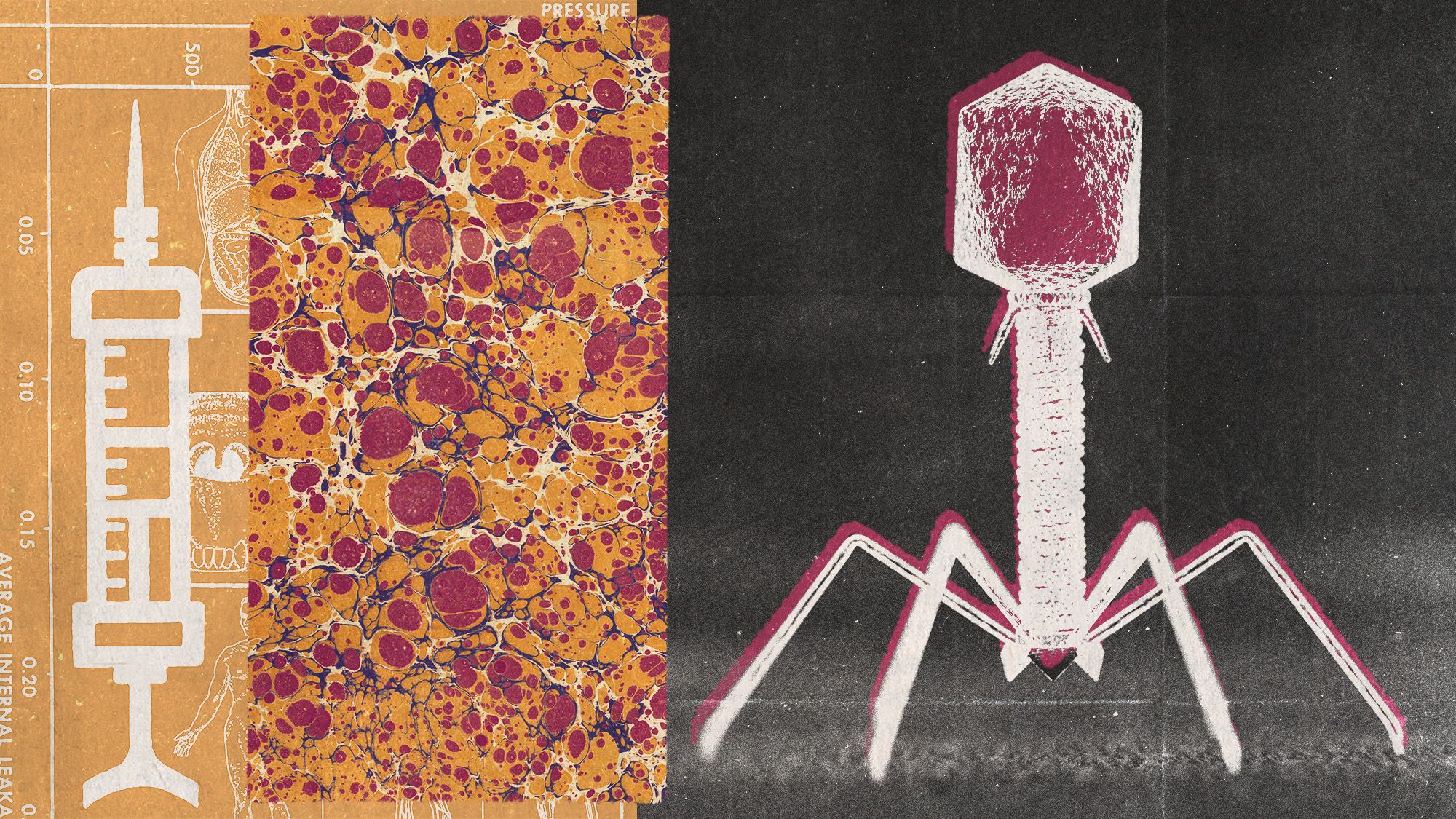 Scientists have deployed an AI-designed virus