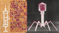 Photo collage of a syringe, a pattern reminiscent of a bacteria micrograph, and a CG image of a bacteriophage virus
