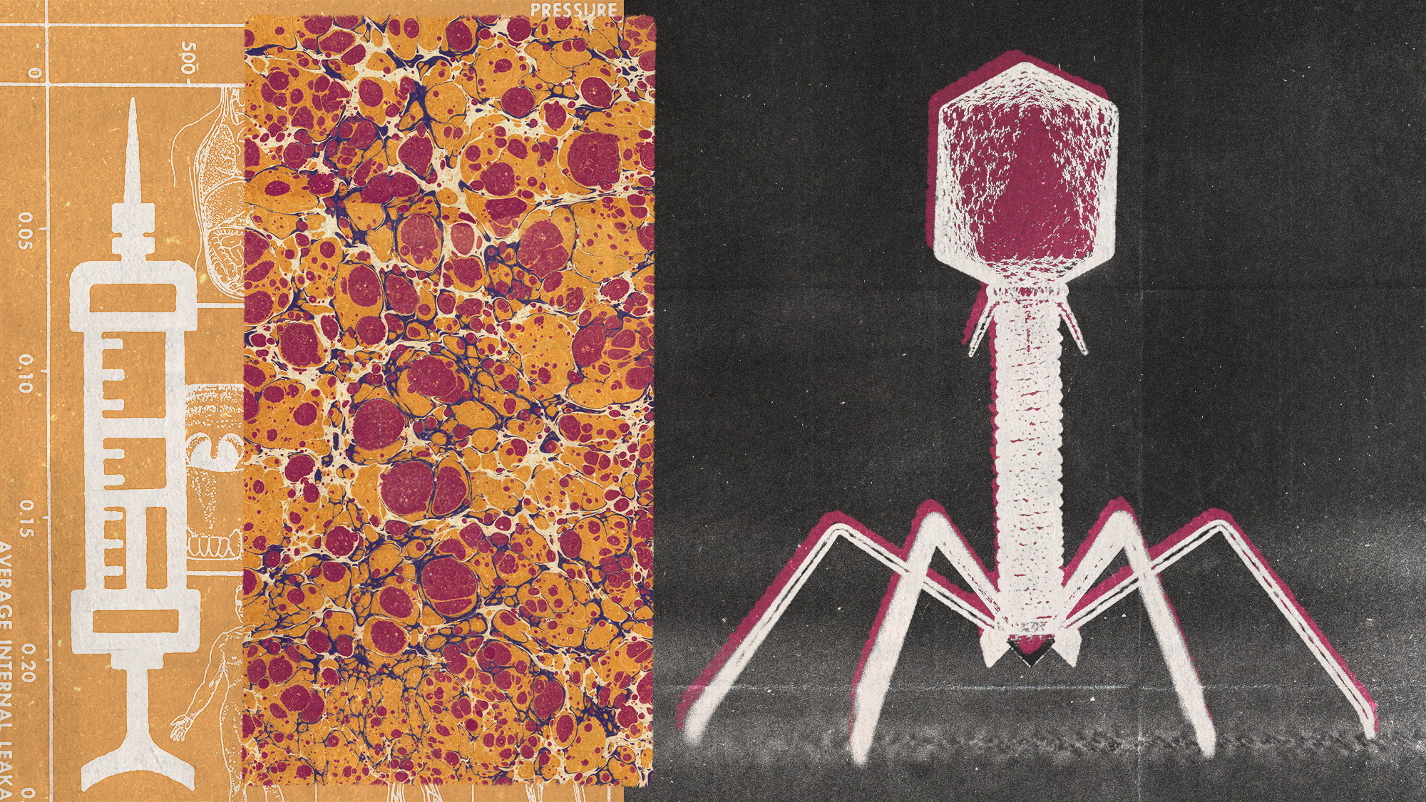 Photo collage of a syringe, a pattern reminiscent of a bacteria micrograph, and a CG image of a bacteriophage virus