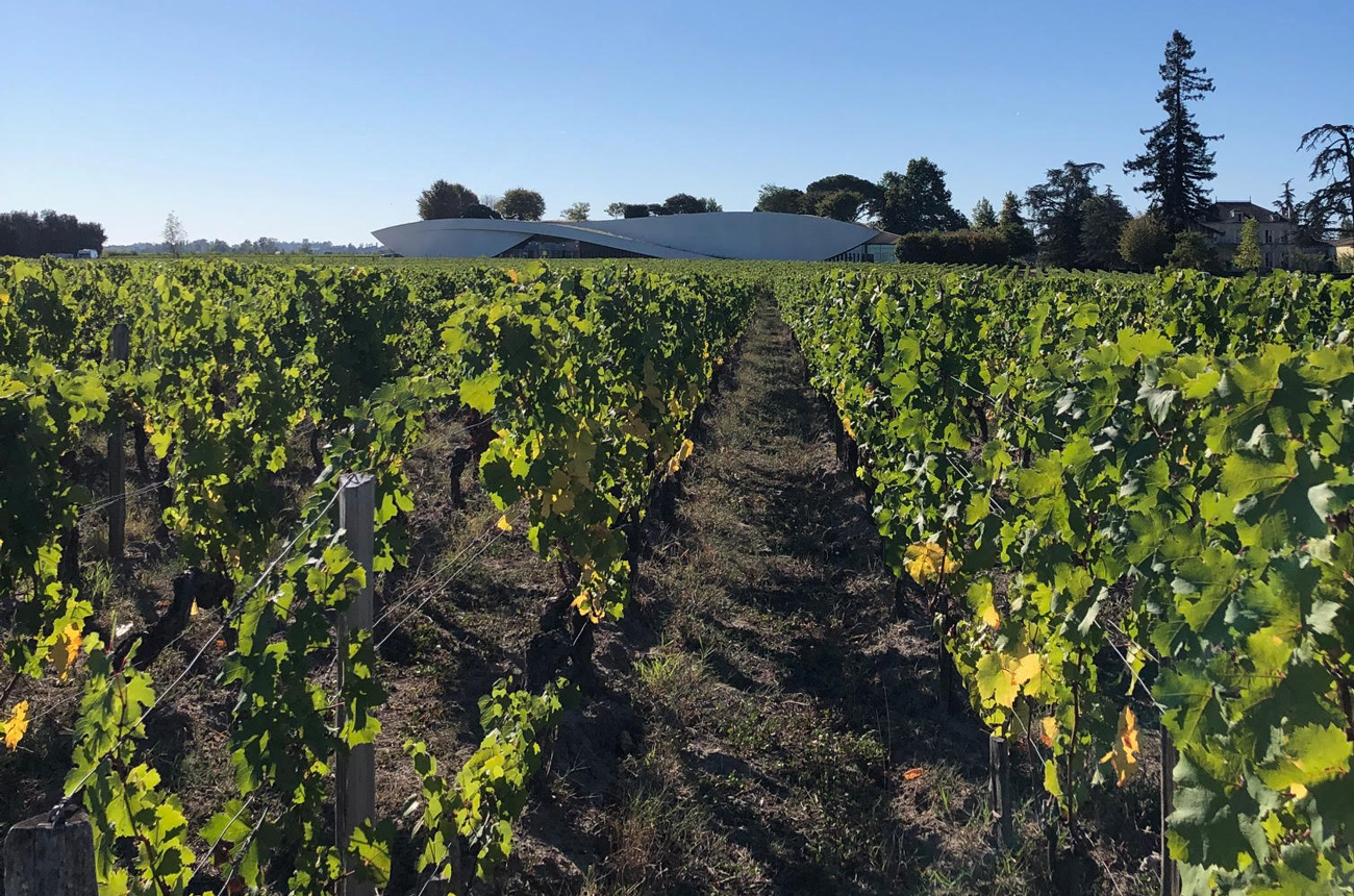 Bordeaux 2022 harvest at Ch&amp;acirc;teau Cheval Blanc