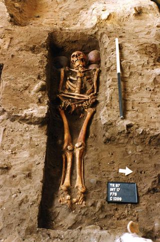 A coffin in the Scottish highlands held two complete skeletons and additional skulls.