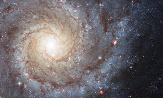 Spiral galaxy