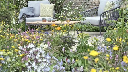 A colourful flower bed in front of a relaxed paved seating area