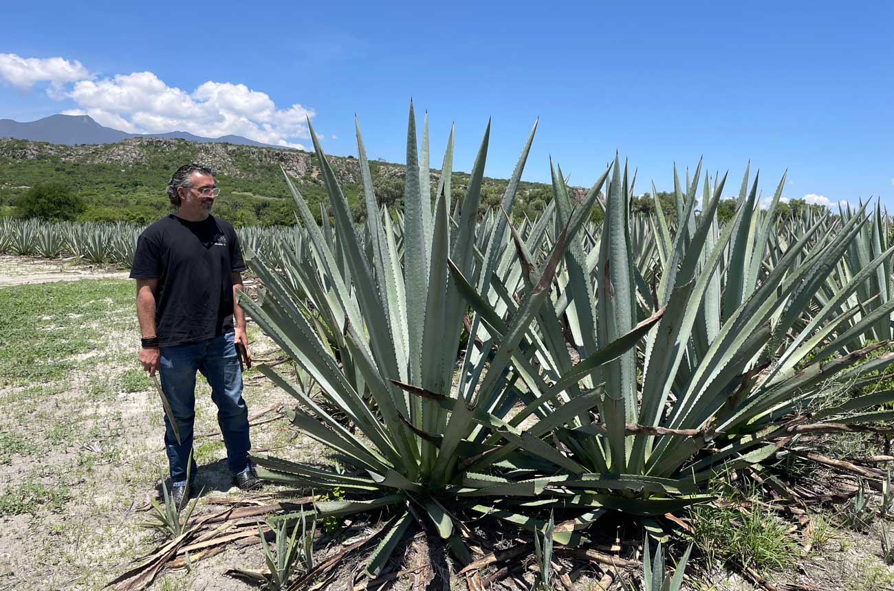 Luis Ni&amp;ntilde;o de Rivera