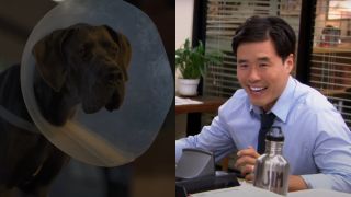 Hunter in Strays; Randall Park on The Office