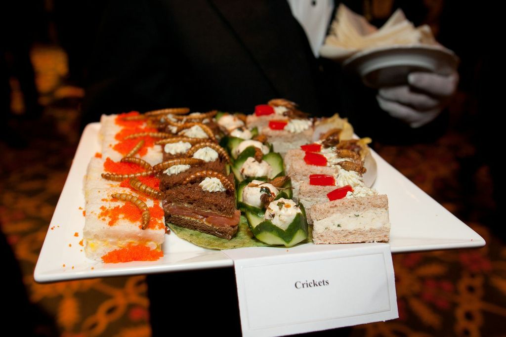 Crickets at Explorer's Club Annual Dinner