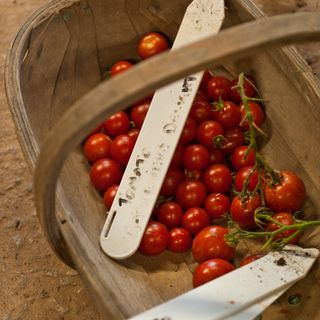 A basket of cherry tomatoes