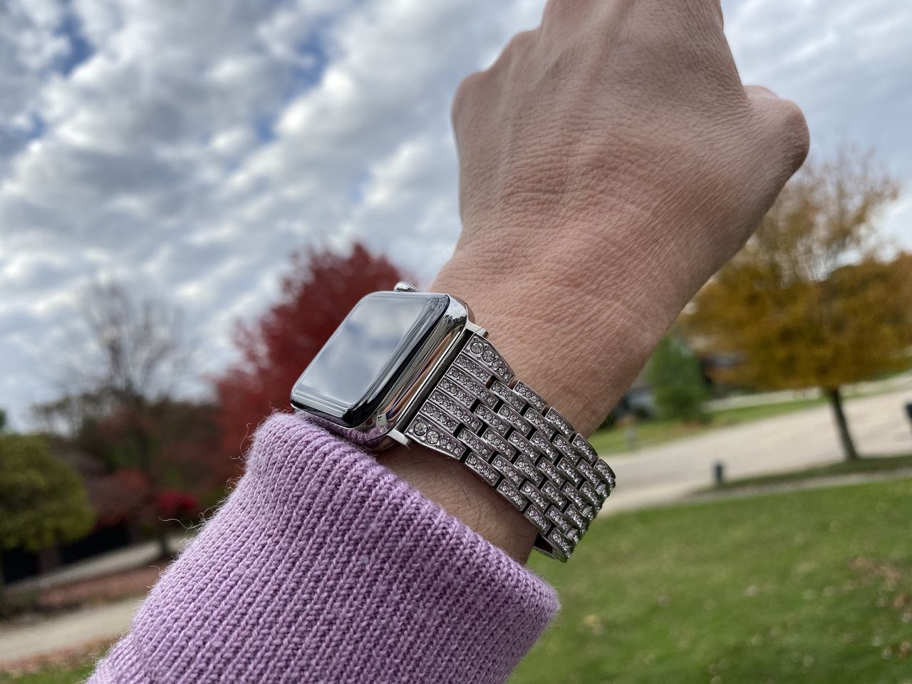 Wearlizer Crystal Rhinestone Apple Watch Band