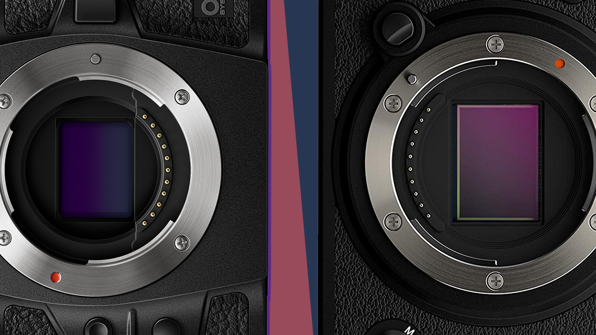 The OM System OM-1 camera sensor compared to the Fujifilm X-T4