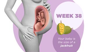 Pregnancy week by week 38