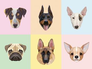 dog geometric patterns