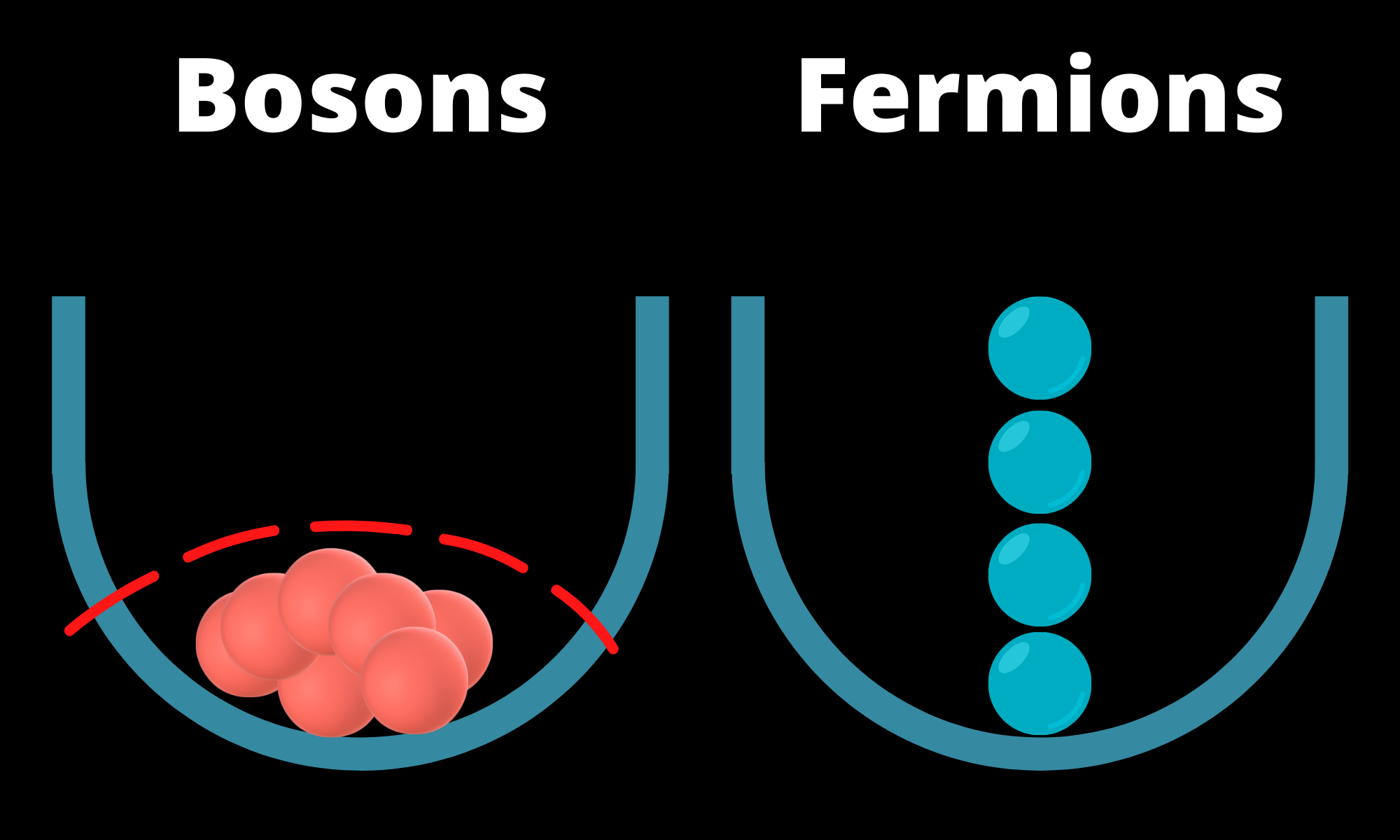 Because bosons don't obey the Pauli exclusion principle they are free to occupy the same quantum numbers, unlike 'unsocial' fermions. The dashed red line represents the formation of Bose-Einstein condensates.