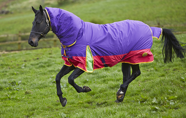 KTY-5-A-Day-Rug.jpg