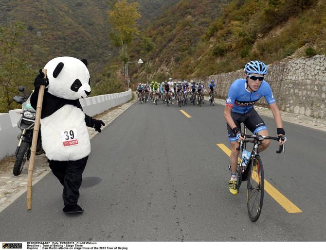 Dan Martin's totem animal, the panda
