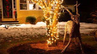 Lights around a tree in a fron garden with a wooden reindeer