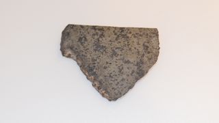 A fragment of the Martian meteorite SaU 008.