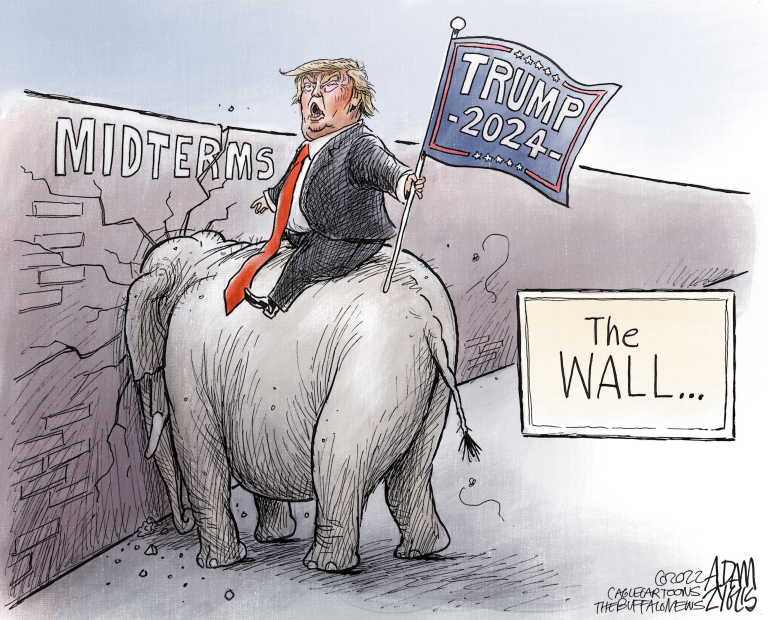 7 scathingly funny cartoons about Trump 2024 The Week