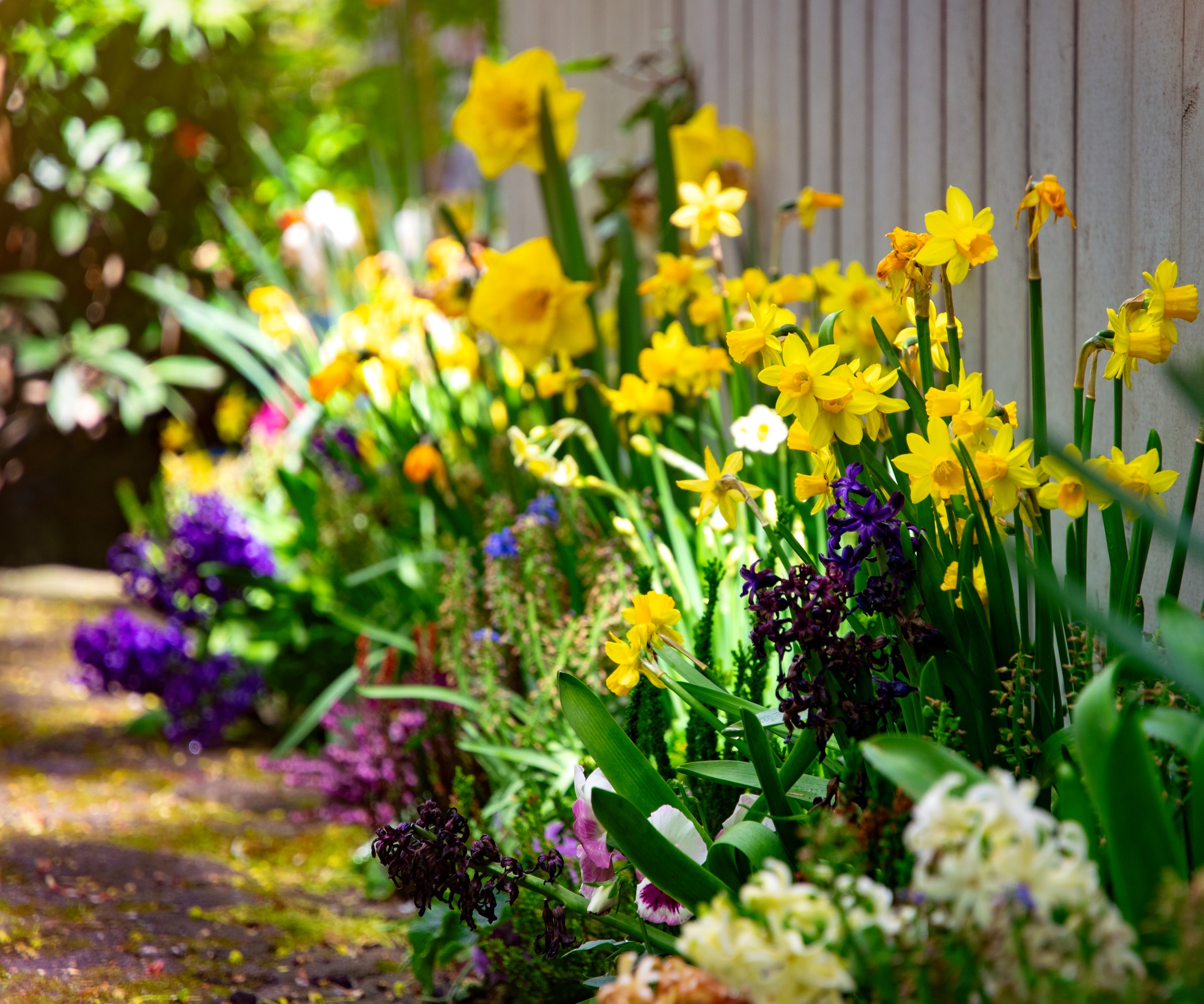 Spring garden border