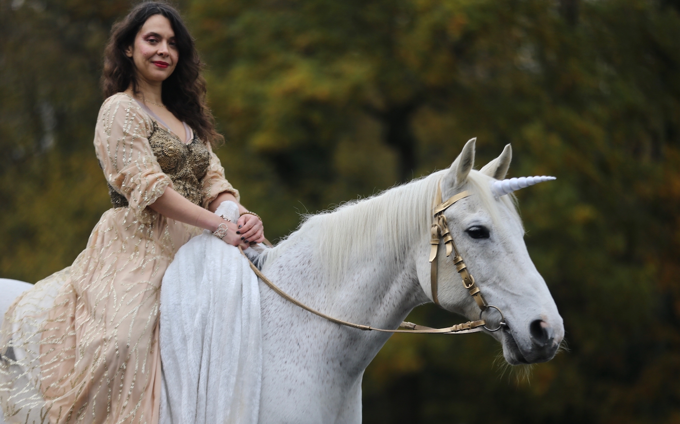 Cinderella's fairy godmother