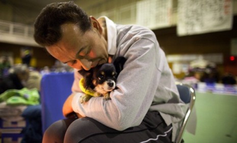 An earthquake survivor hugs his dog in a Japanese evacuation center.