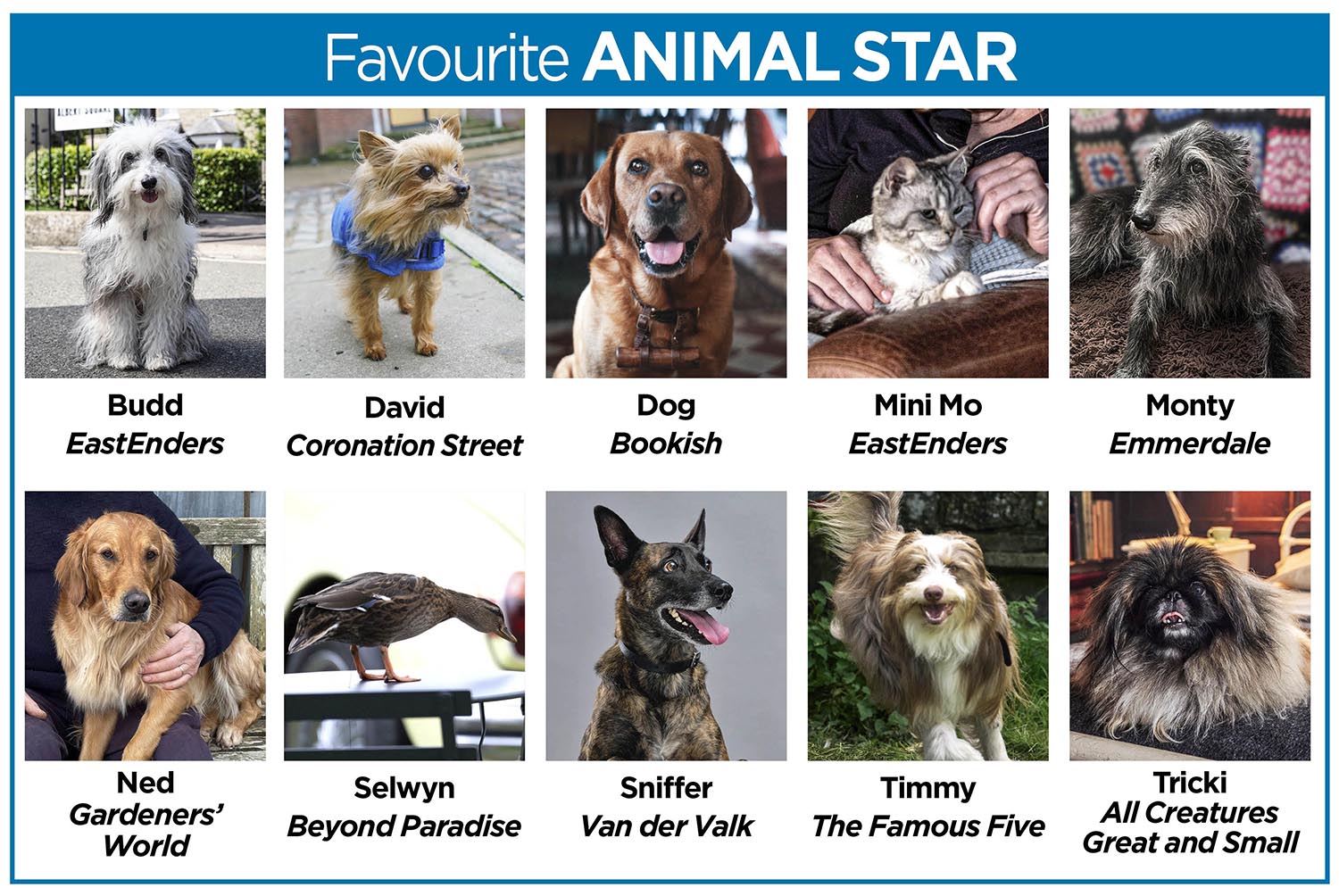 Images of the Favourite Animal Star nominees in the TV Times Awards 2026.