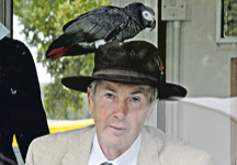 parrot.jpg