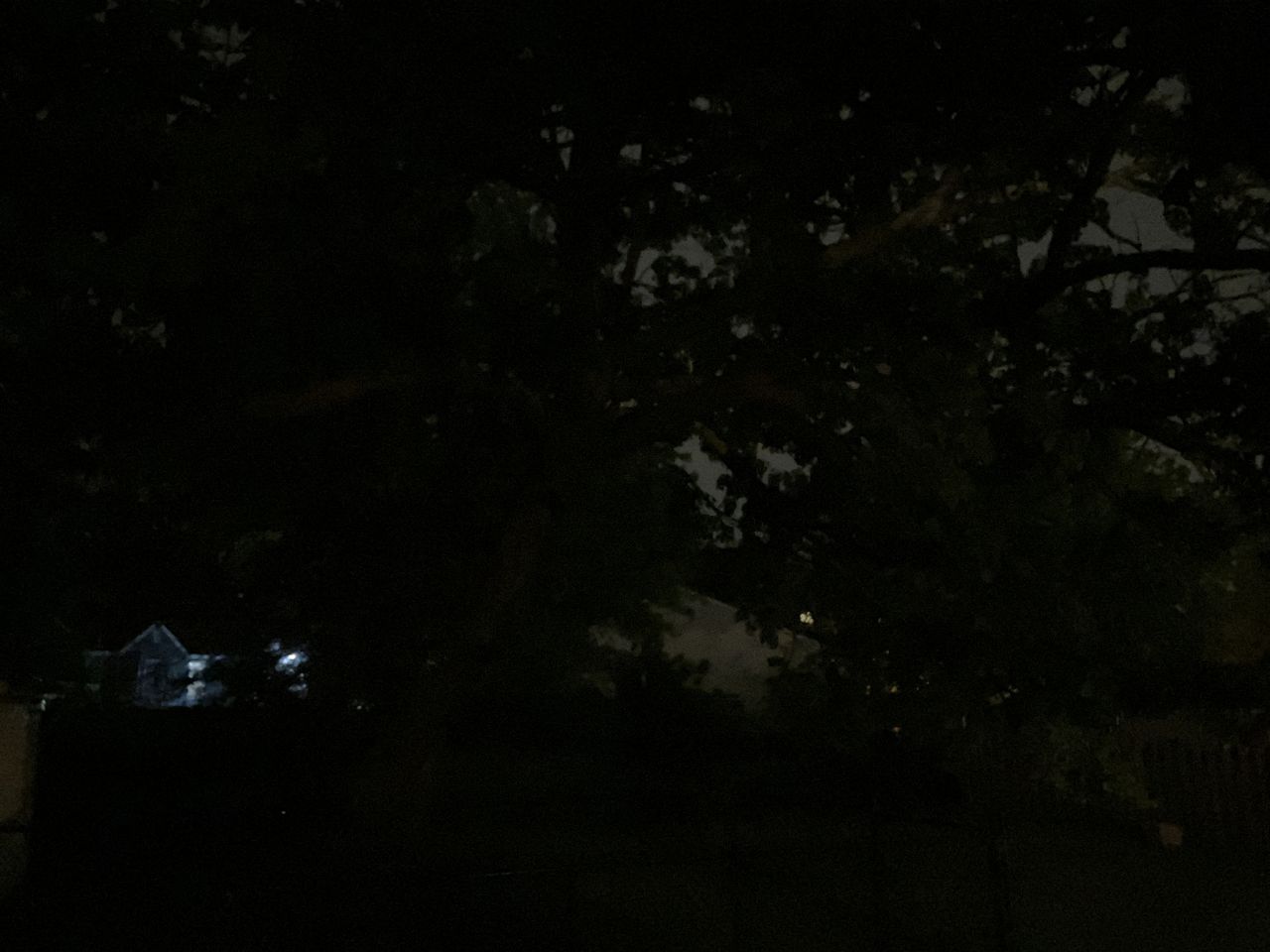iPhone SE 2022 Low light.