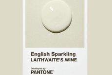 english sparkling paint
