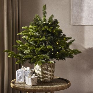 The White Company 3ft Pre Lit Christmas Tree