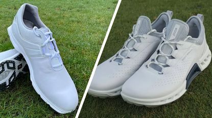 FootJoy Pro SL vs Ecco Biom C4 Golf Shoe