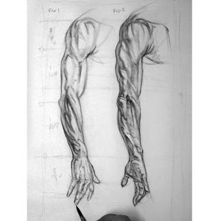 How to draw an arm: anatomy studies