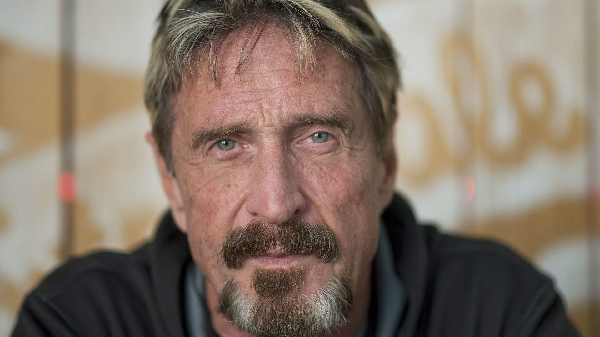 john mcafee war on cryptocurrencies