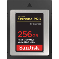SanDisk 256GB CFexpress Type B card | was $399.99| now $119.99
Save $280 at B&amp;H
