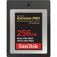 SanDisk 256GB CFexpress Type B card | was $399.99| now $119.99
Save $280 at B&amp;H