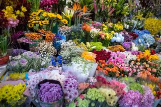 A supermarket flower section jam packed full of various colourful bouquets.