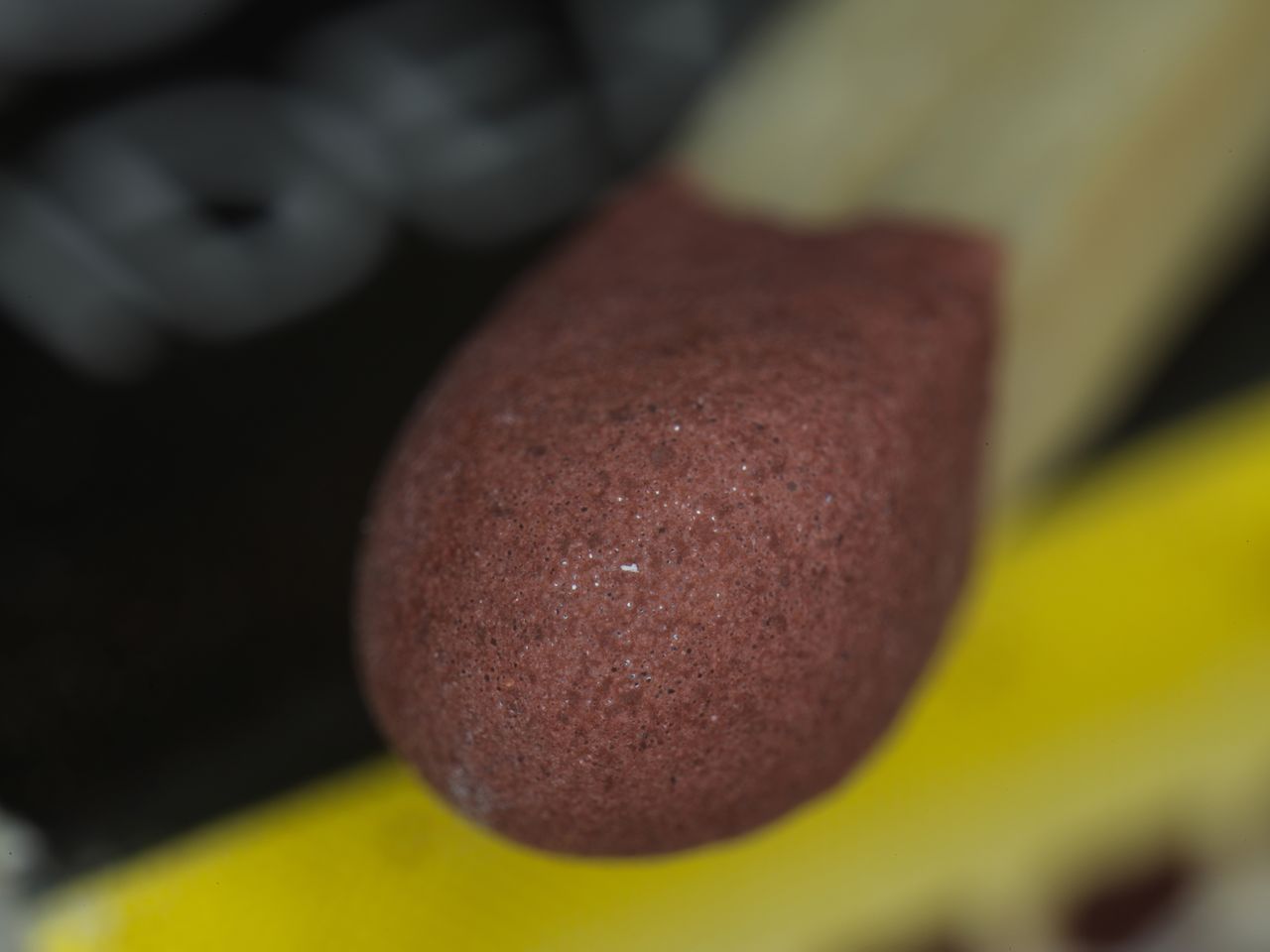 Sample macro photograph taken with the Mitakon 55mm f/2.8 1-5x Macro lens on the Hasselblad X2D II 100C