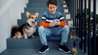 Dog and boy with puzzle cubes