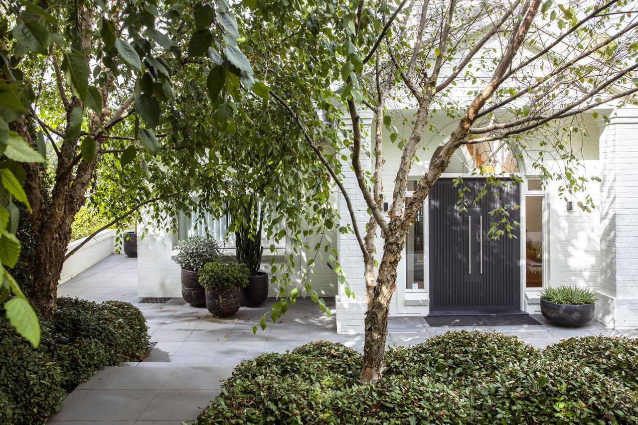 Front yard of modern white house