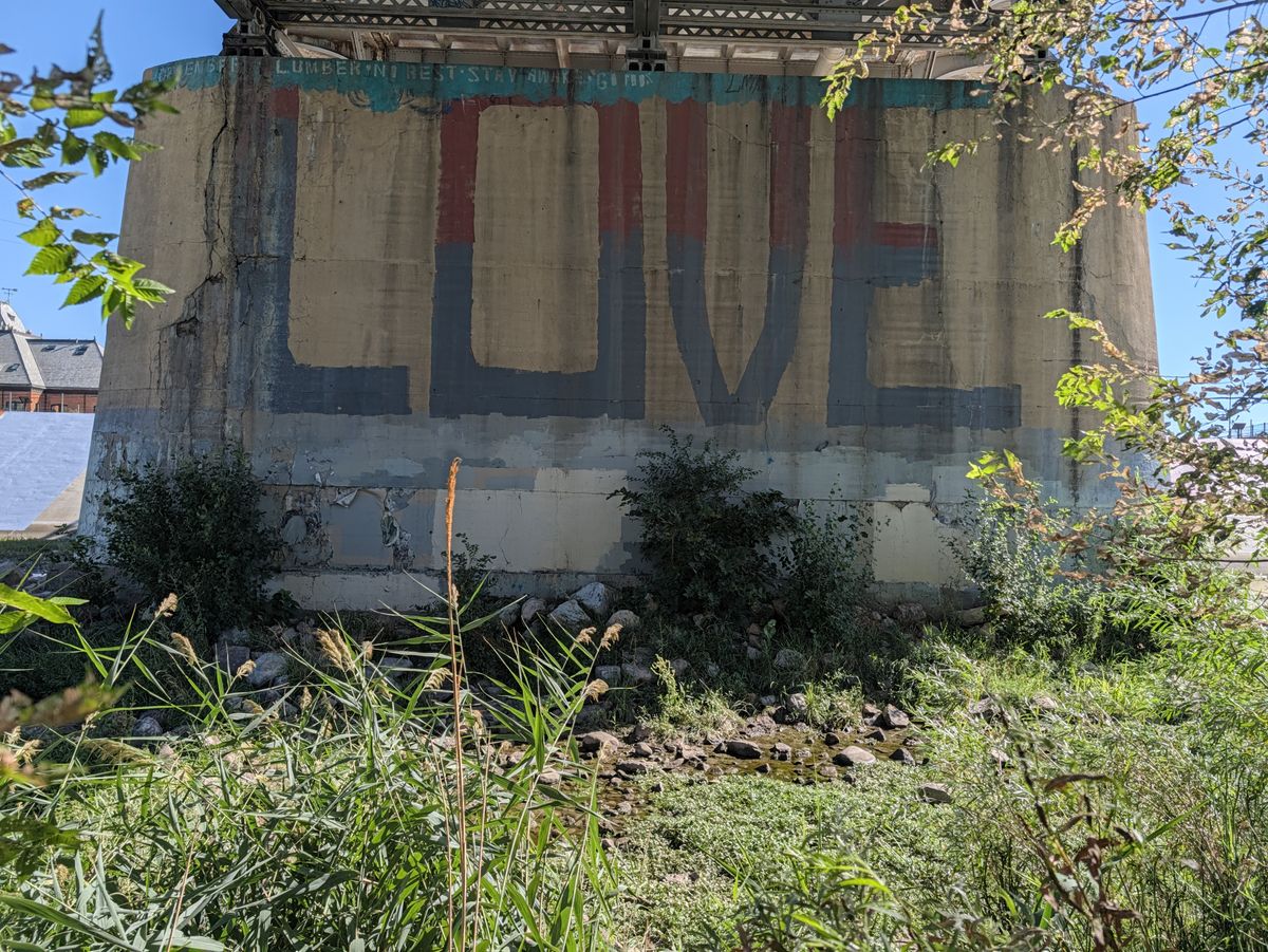 Google Pixel 11 Pro Camera Samples