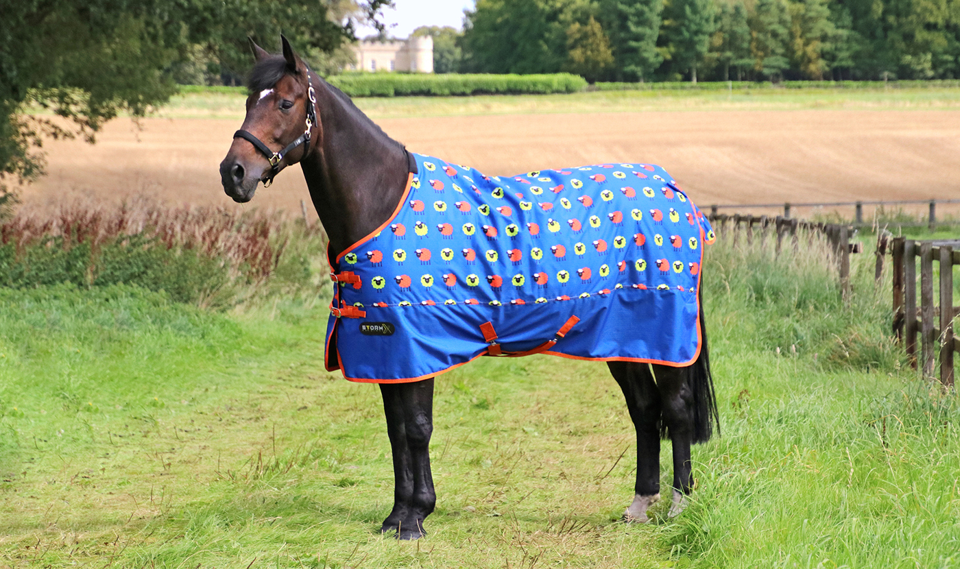 26815 - StormX Original Simon the Sheep 50 Turnout Rug - Lifestyle - 01