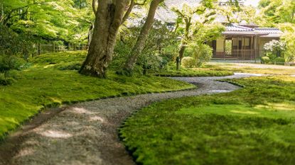 moss garden