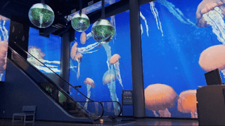 the OdySea Aquarium lobby with projection mapping immersing its guests.